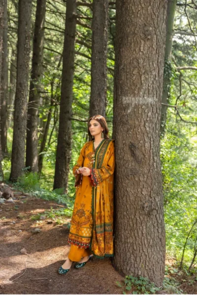 Gul Ahmed Winter Collection 2024