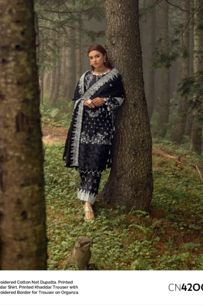 Gul Ahmed Winter Collection 2024 | CN42002