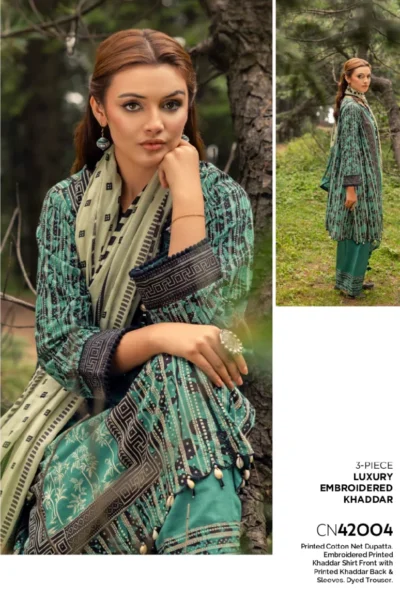 Gul Ahmed Winter Collection 2024 | CN42004