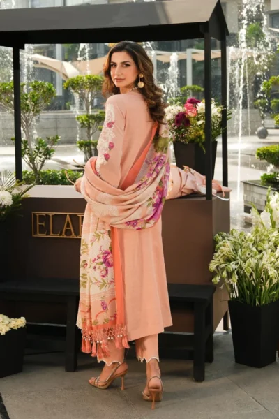 Elaf Winter Pashmina Shawl Collection 2024 | EPW-7B