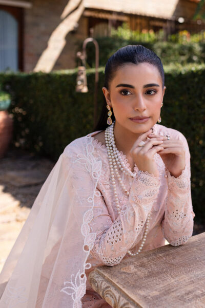 Qalamkar Qline Lawn 2025 | QM-03