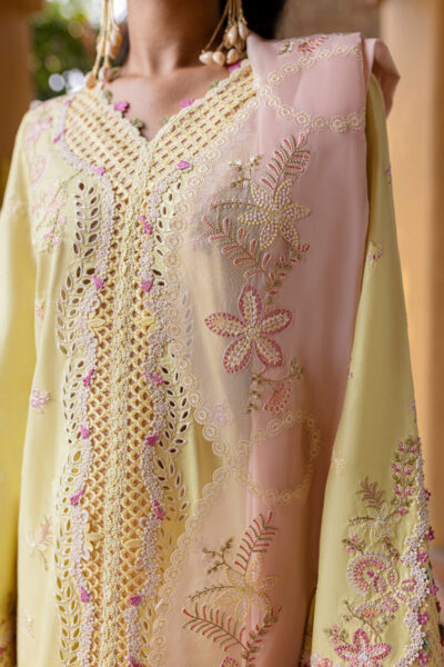 Qalamkar Qline Lawn 2025 | QM-11