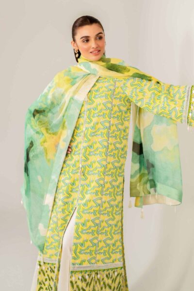 Nishat Spring Summer Lawn 2025 | 42501092