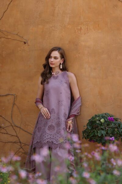 Noor Luxe Chikankaari 2025 by Saadia Aasad | D8-A