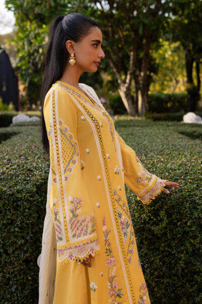 Qalamkar Qline Lawn 2025 | QM-10