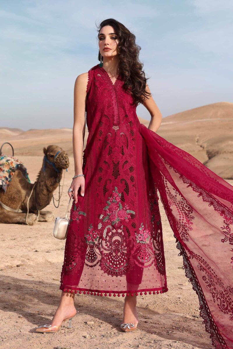 MARIA B Luxury Lawn 2025 | D-2504-A