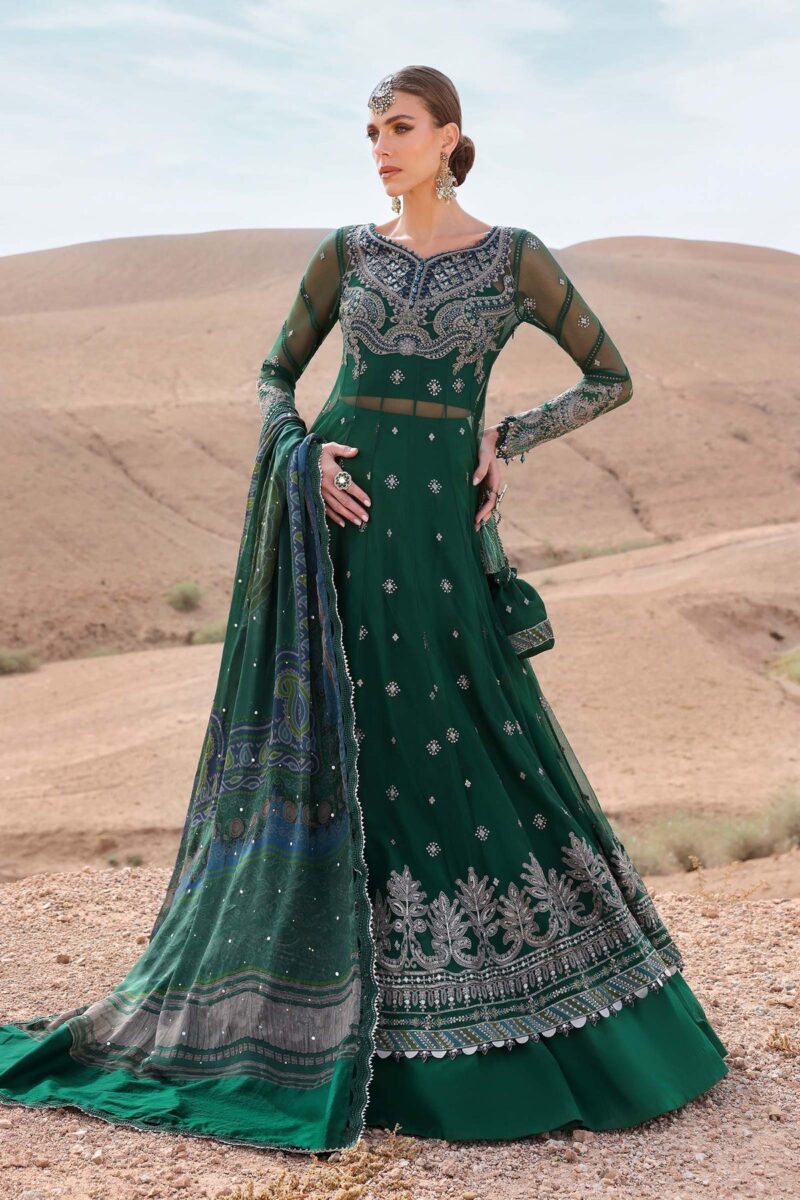 MARIA B Luxury Lawn 2025 | D-2507-A - Image 6