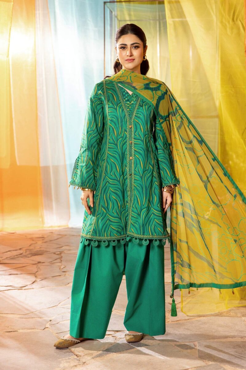 MARIA B M Basics 2025 | MB-CUS25-704A