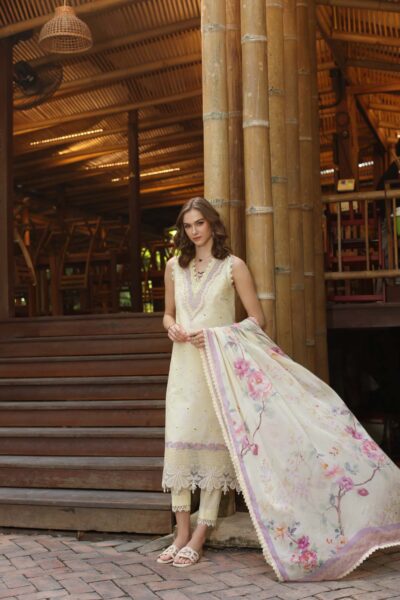 Noor Eid Luxe Printedkari ’25 by Saadia Aasad | D9-A