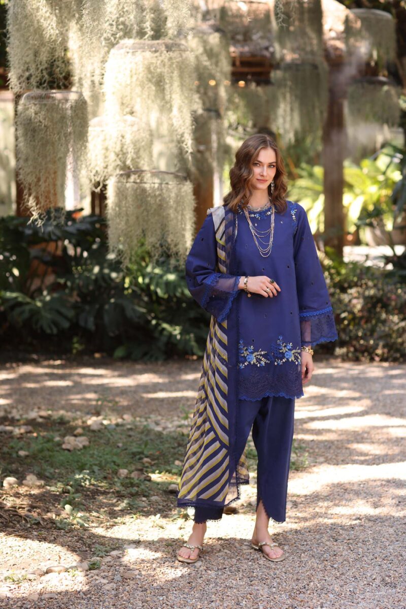 Noor Eid Luxe Printedkari ’25 by Saadia Aasad | D3-A