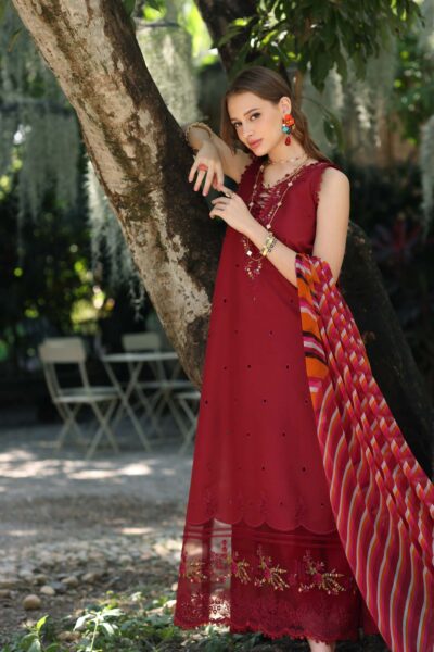 Noor Eid Luxe Printedkari ’25 by Saadia Aasad | D3-B