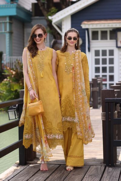 Noor Eid Luxe Chikankari’ 25 | D3