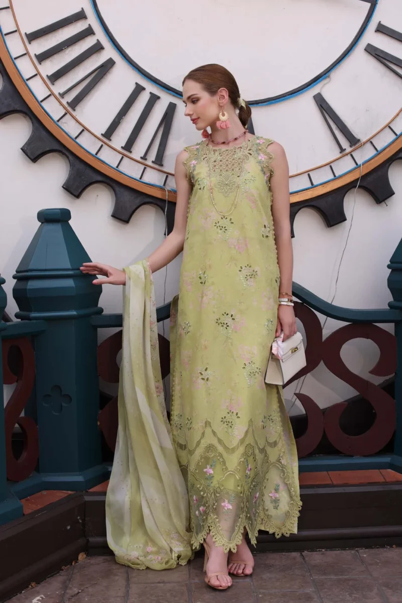 Noor Eid Luxe Chikankari’ 25 | D8