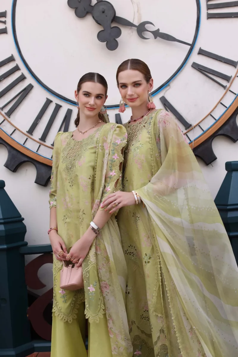 Noor Eid Luxe Chikankari’ 25 | D8 - Image 3