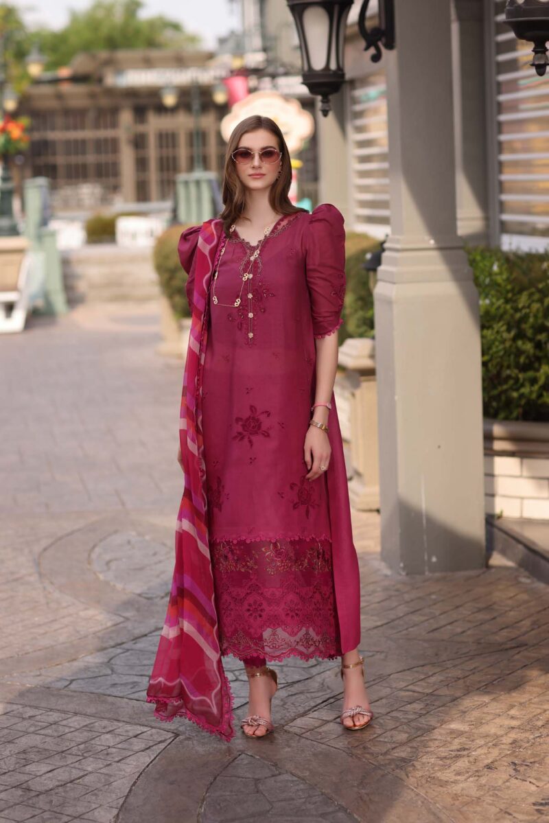 Noor Eid Luxe Chikankari’ 25 | D9 - Image 3