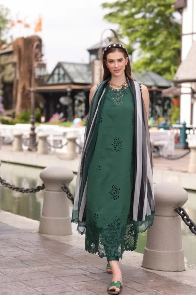 Noor Eid Luxe Chikankari’ 25 | D12