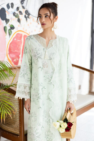 Mint Mirage | 3 PC Lawn