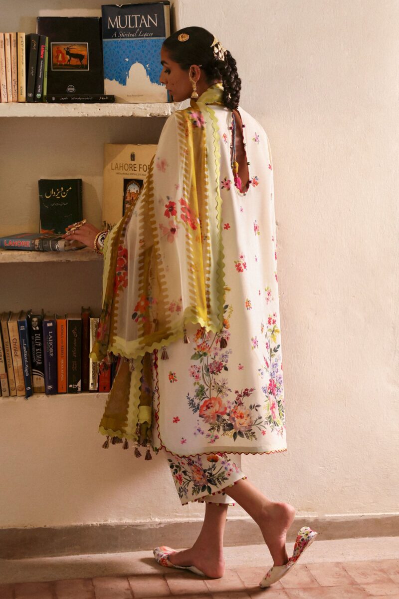 CHANDNI (ZF-25-10) - Image 3