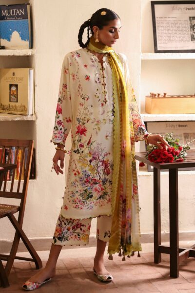 CHANDNI (ZF-25-10)