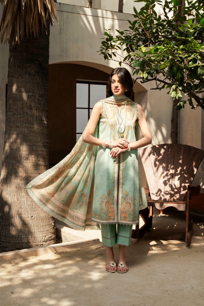 Printed - Lawn - 3pc - D146 - Mintaya - Image 3