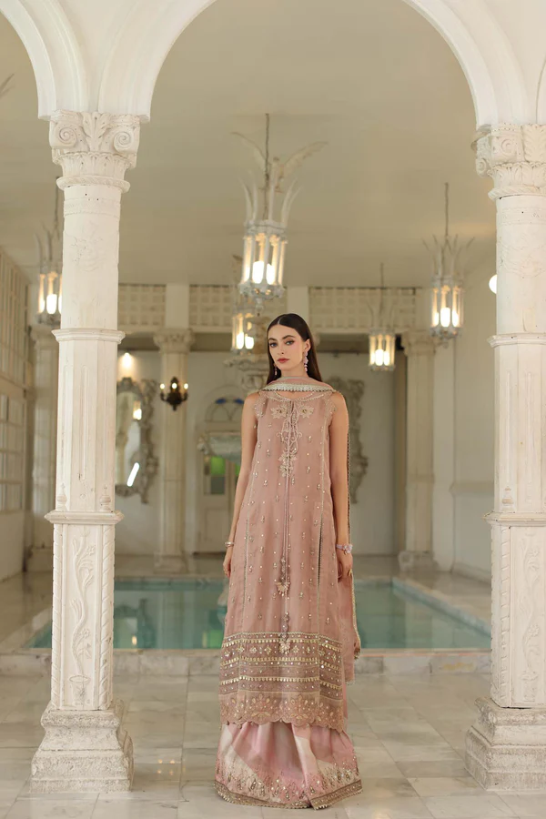 Noor Noor Festive ’25 | Saadi Aasad | D4 – Tea Pink - Image 4