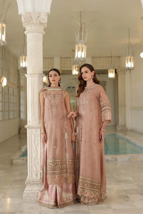 Noor Noor Festive ’25 | Saadi Aasad | D4 – Tea Pink - Image 3
