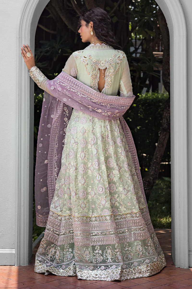 Roohi By Mushq’25 || Aara - Image 2