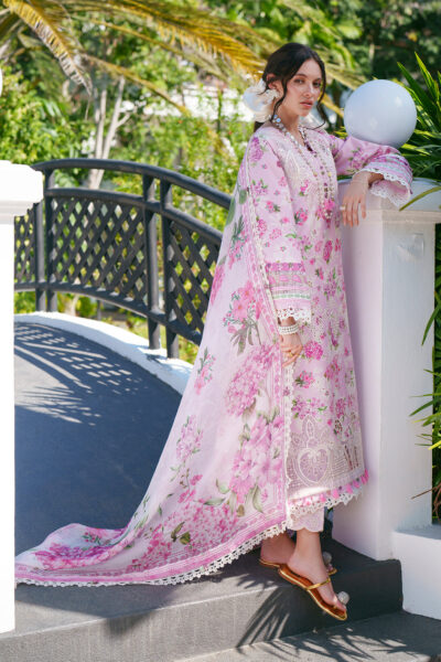 AJR Printed Chikankari 2026 | Rumi