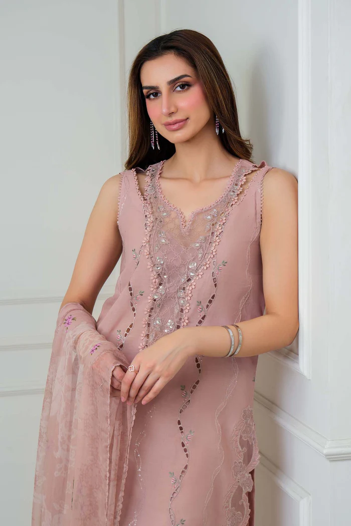 D2 - A - Powder rose blush