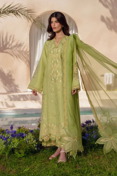 Rang Rasiya Luxury Eid Collection 2026 || Nadine