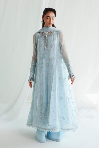 Qalamkar Chiffon Collection QCC-08 SONA