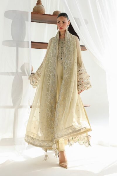 Qalamkar Chiffon Collection QCC-01 DEENA